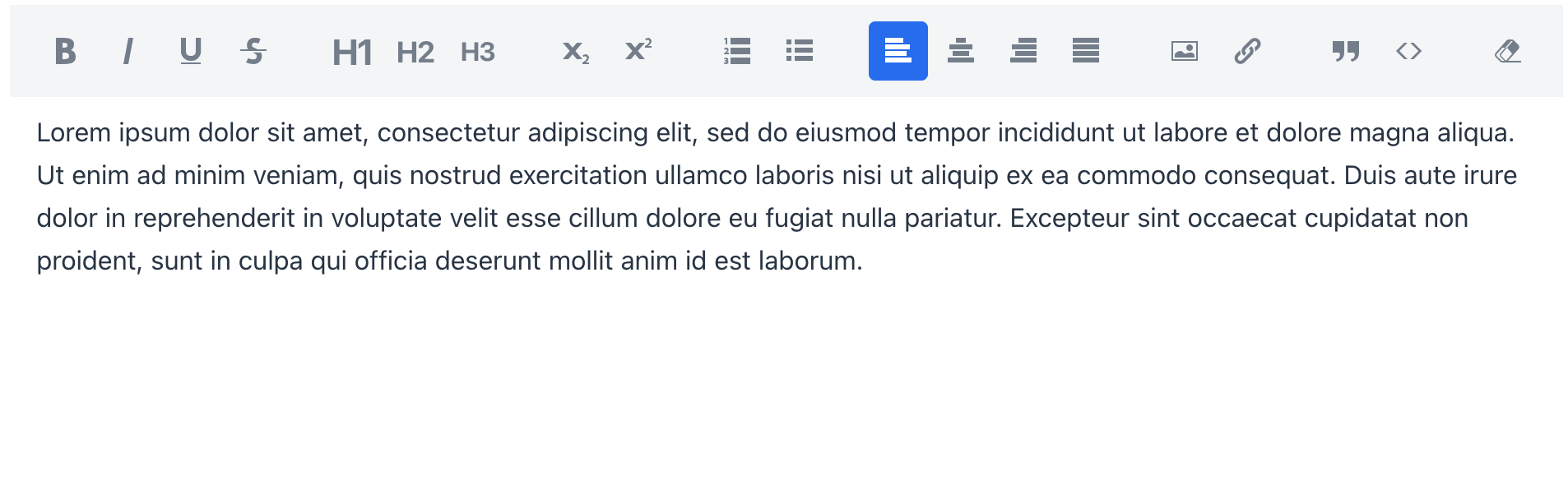 rich text editor no border