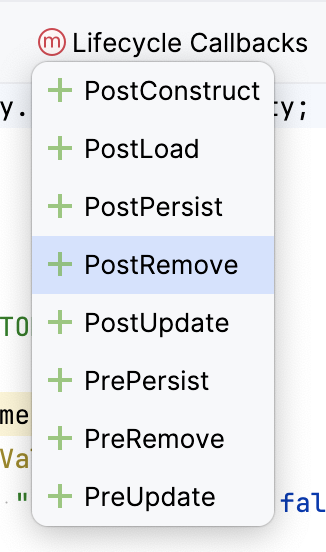 entity designer lifecycle callbacks