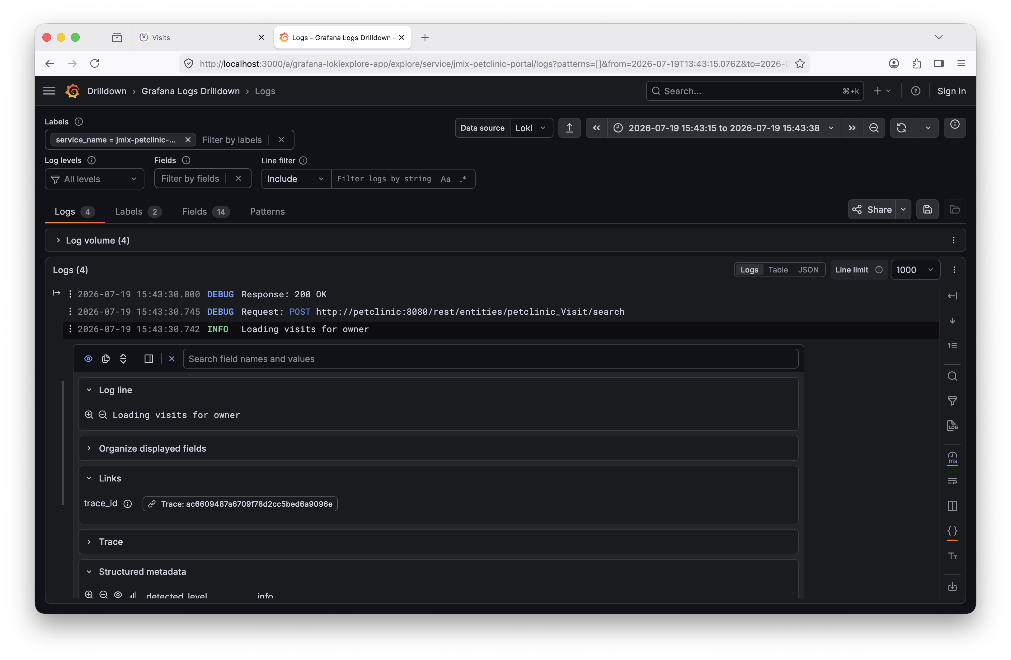 Grafana Logs showing Portal loading visits